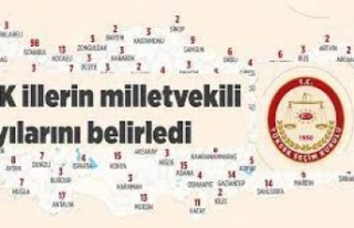 YSK açıkladı Şırnak'ın milletvekilli sayısı...