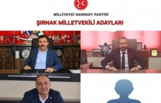 MHP Şırnak Miletvekili Adayları
