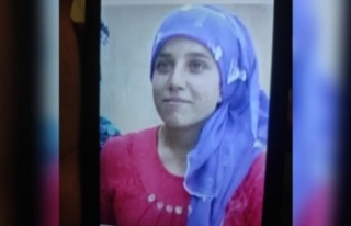 Öldürülen PKK üyesi Cizre'li çıktı