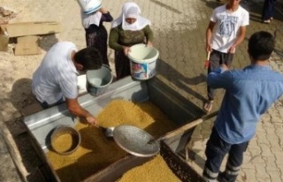 Bulgur Kaynatma geleneği devam ediyor