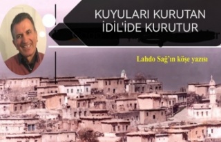 Kuyuları kurutan İdil'i de kurutur