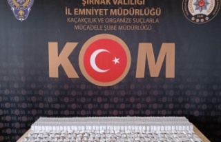 Şırnak'ta asayiş ve kaçakçılık operasyonu...