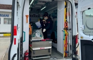 Hasta bebek için uçak ambulans havalandı