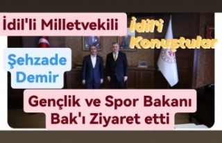 Şehzade Demir İdil için Bakan Bakı ziyaret etti