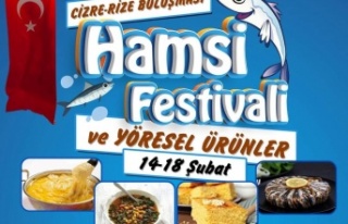 Cizde'de Hamsi festivali başlıyor