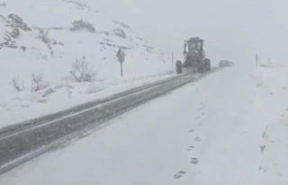 Şırnak yolunda mahsur kalan 25 araç kurtarıldı