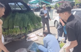 Sirik otu tezgahta satışa sunuldu