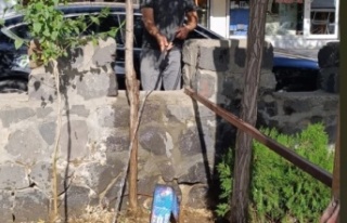 Vatandaşın toplumsal bilinci Ağaçları suluyor