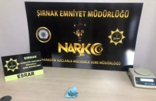 Şırnak'ta 50 kaçakçı gözaltında