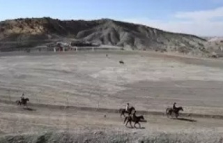 Rahvan At yarışları Mardin'de yapıldı