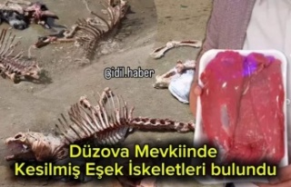 Düzova'da kesilmiş Eşek iskeleti bulundu
