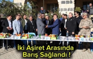 İki Aşiret arasında barış sağlandı