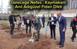 Kaymakam'dan fidan dikimi etkinliği