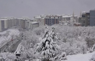 Şırnak'ta kar yağışı etkili oldu