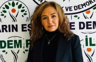 İdil Belediye Başkanı DEM Partiden ihraç edildi