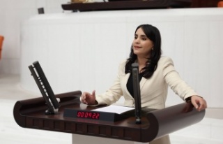 Aslan "Kasrik boğazı sullar altında kalmasın"
