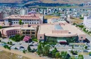 Cizre Devlet Hastanesi 887 hastaya baktı