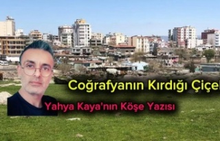 Coğrafya'nın kırdığı Çiçek