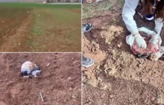 Doğan bir bebek arazide bulundu
