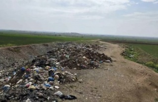 Nusaybin kırsal alanında temizlik çalışması