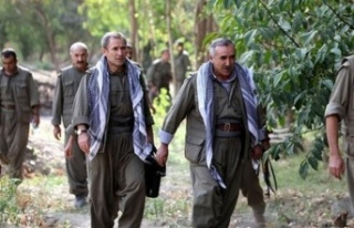 PKK Ateşkes ilan etti