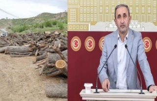 HÜDAPAR Milletvekilinden Şırnak’taki orman kesimine...