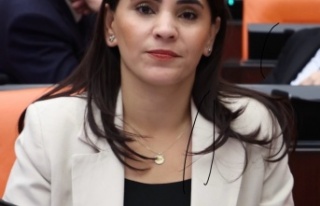 Uysal Aslan DEDAŞ ile ilgili soru önergesi verdi