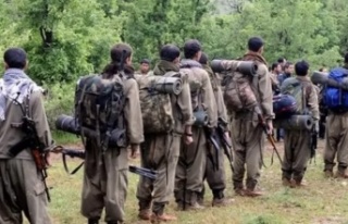 PKK Silah bırakıyor