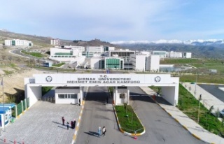 Şırnak Üniversitesi 14 sözleşmeli personel alacak