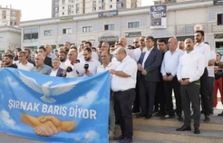 Şırnak’ta barış çağrısı