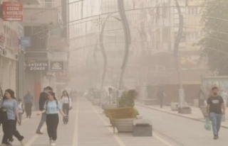 Şırnak toz taşınmasının etkisine girdi