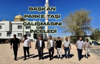 Duru Köyde Parke taşı çalışması