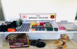 Kaçakçılığa darbe: 18 Milyonluk operasyon