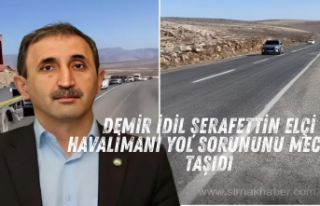 Şerafettin Elçi Havalimanı yolu meclise taşındı