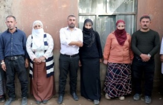 Üç elti böbreklerine eşlerine bağışladı