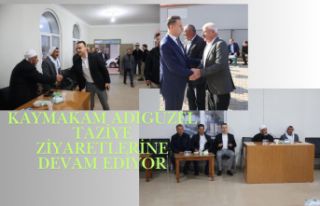 İdil Kaymakamı Adıgüzel, Taziye Evlerinde Ailelerin...