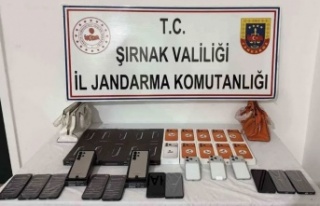 Şırnak’ta operasyon 65 kişi gözaltına alındı