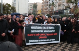 Cizre Süriye Protestosu 3 gözaltı