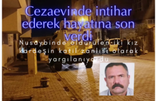 Nusaybin’de İki Kız Kardeşin Cinayet Şüphelisi...