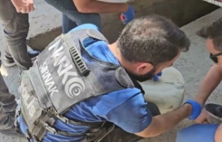 Şırnak Emniyetten Narkotik  darbesi