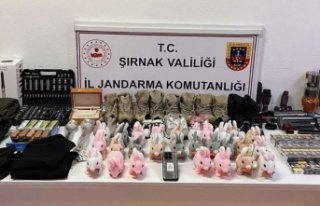 Şırnak’ta operasyon 117 kişiye gözaltı