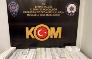 Şırnak’ta operasyon 48 gözaltı 3 tutuklama