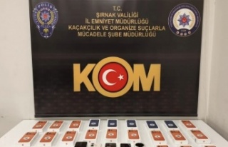 Şırnak’ta operasyon 49 kişiye gözaltı