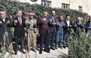 Şırnak’ta 25 bin Fidan dağıtımı