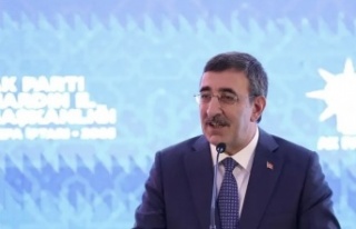 Cumhurbaşkan Yardımcısı Yılmaz Mardin’de