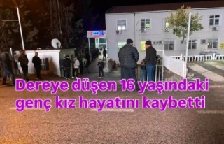 Dereye düşen genç kız hayatını kaybetti
