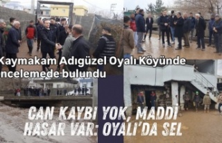 Oyalı Köyü Selin Yaralarını Sarıyor