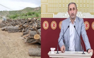 HÜDAPAR Milletvekilinden Şırnak’taki orman kesimine tepki