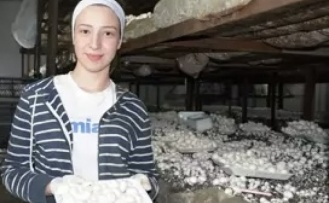 Mantar üretimi artıyor