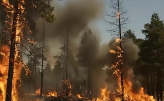 Yangın faciası 11 Kişi hayatını kaybetti